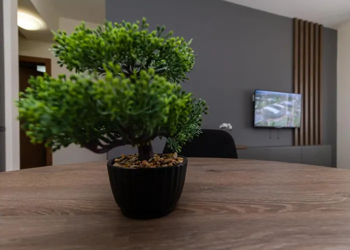 Lejlighed Gray J Zlatibor